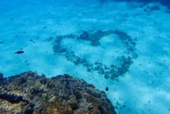 lagoon-snorkeling-bora-bora-concierge-activiy