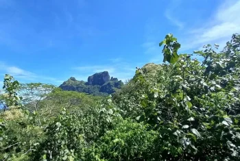 land-discovery-bora-bora-concierge-activiy